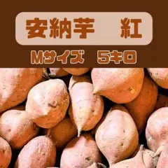 安納芋 紅 Mサイズ 5㌔　種子島の大地・拘りの芋