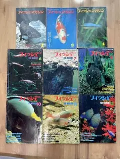 2026年最新】back number fishの人気アイテム - メルカリ
