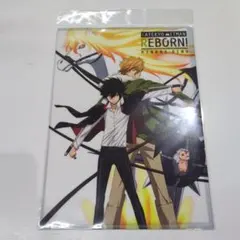 家庭教師ヒットマンリボーン　雲雀恭弥　ディーノ　クリアファイル