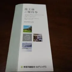 【最新版】東急不動産ホールディングス株主優待券 1000～5000株未満