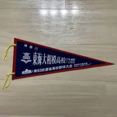 東海大学附属相模高等学校　第９３回選抜高校野球大会　記念ペナント
