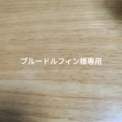 ブルードルフィン様専用