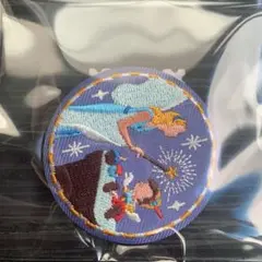 ディズニーキャラクター刺繍缶バッジ　ピノキオ