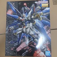 MG ストライクフリーダムガンダム