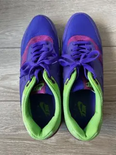 【レア⭐︎美品】Nike Air スニーカー 紫/緑/ピンク