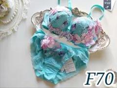 サルート36 【ヴィーナス】 F70+ショーツL プッシュアップブラ TU