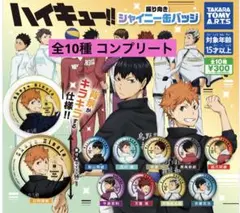 値下げ ハイキュー!! 振り向きシャイニー缶バッジ 全10種 コンプリートセット