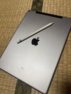 iPad Pro 12.9インチ 第1世代+Apple Pencil 第1世代のサムネイル