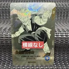 孫悟飯 青年期 パラレル スーパーダイバーズ アドバンスパック APT-009