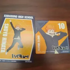 まねきねこコラボ　日向翔陽 ハイキュー!!