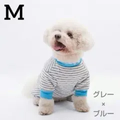 ハンドメイド 犬服 名前入りハート付き タンクトップ 水色ドット M