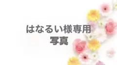 はなるい様専用