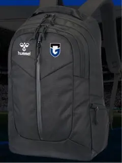 Item thumbnail for item 768fa568-0b2d-4c5b-8a79-0ae24d14e0c6