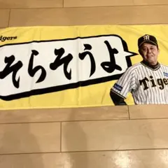 *.様 阪神タイガース 岡田監督 そらそうよ フェイスタオルのサムネイル