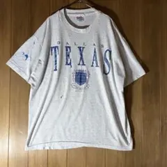 【雰囲気抜群90s USA製】ヘインズ XL ヴィンテージTシャツ テキサス