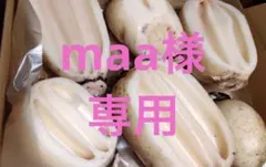 maa様専用