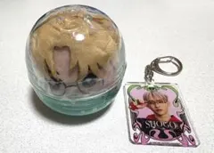 【新品未使用】INI 田島将吾アクリルキーホルダー、かぷっこふれんず2ぬいぐるみ