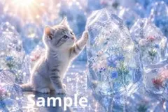 子猫と氷の結晶 デジタルアート イラスト ポストカード