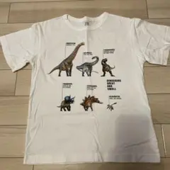 ユニクロUT ダイナソーTシャツ キッズ140 恐竜 ホワイト