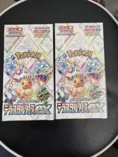 2025年最新】テラスタルフェス シュリンク付きの人気アイテム