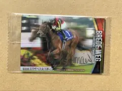 NHKマイルカップ ロジック サインなし。 - メルカリ