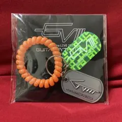 布袋寅泰　GUITARHYTHM VIII リストコイル・ドッグタグキーホルダーのサムネイル