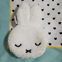 ビニールバッグ ミッフィー