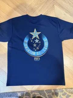 Item thumbnail for item 79cd9c84-4995-4b09-839c-03143be81762