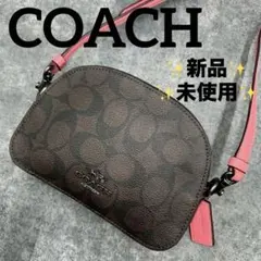 ⚠️さとちん様　専用⚠️