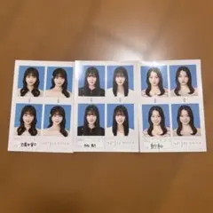 セジュ　証明写真セット