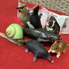 チョコエッグ 海洋堂 日本の動物 クマゲラ　ムササビ　ヒミズ　ビワコオオナマズ