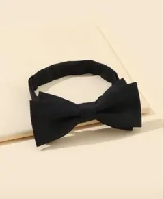 Item thumbnail for item ecb823bc-c30b-48c7-afed-53f69bb1368a