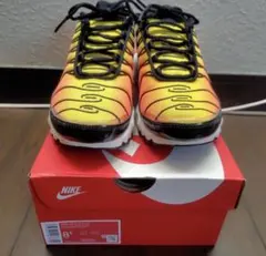 Nike Air Max Plus 8.5 US オレンジ/イエロー