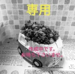 【専用】ワーゲン風バスのチマ寄せ*そのまま飾れる多肉植物の寄せ植え