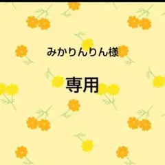 みかりんりん様　おまとめ専用出品のサムネイル