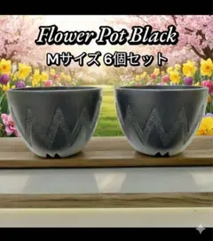 C&A様 リクエスト 2点 まとめ商品