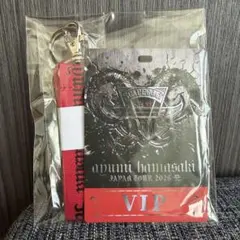 浜崎あゆみ VIPパスと光るバンド | Mercari