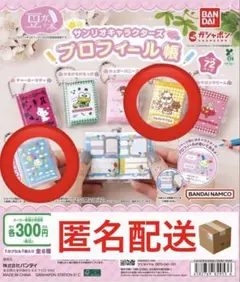 《2種セット》豆ガシャ本 サンリオキャラクターズ　プロフィール帳