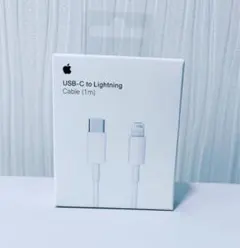 Apple純正品のUSB-C to Lightningケーブル（1m）