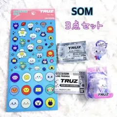 TRUZ SOM ブリスターチャームコレクション めじるしアクセサリー