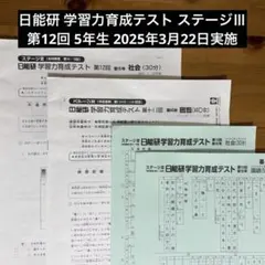 2026年最新】日能研 育成テスト 5年の人気アイテム - メルカリ