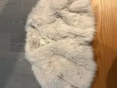 アプリコット フェイクファーコート