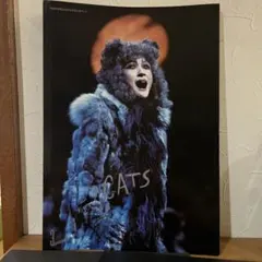 劇団四季『CATS』公式パンフレット大 - メルカリ