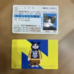 2026年最新】なめねこ免許証カードの人気アイテム - メルカリ