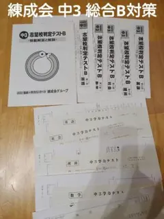 Item thumbnail for item 3e7836cd-7afe-4921-82f1-04ed6b39f50b