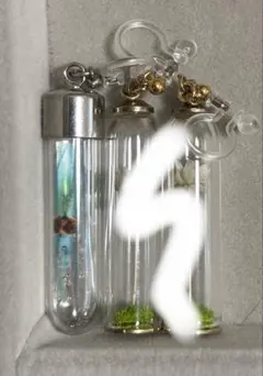 ガーグル ノンホールピアス gargle 透明骨格標本 イカ 片耳のみのサムネイル