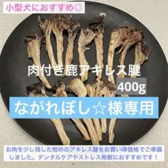 ながれぼし☆様専用