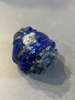 ブルータイガーアイ　龍亀　ロングイ２匹セット ブルータイガーアイ 龍亀 ロングイ2匹セット ブルータイガー