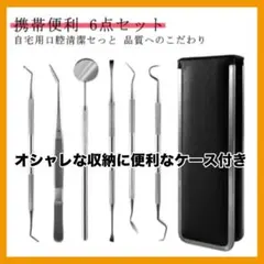 歯石とり 歯石取り　スケーラー デンタルケア 歯石除去 ケース付き6点セット