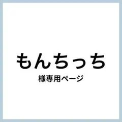 (速達)もんちっち様 リクエスト 2点 まとめ商品